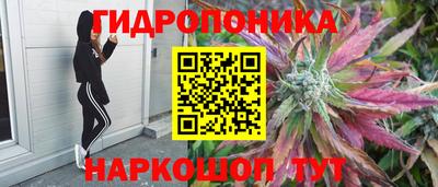 шишки Железноводск