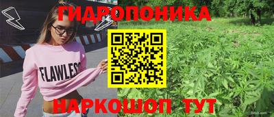 spice Долгопрудный