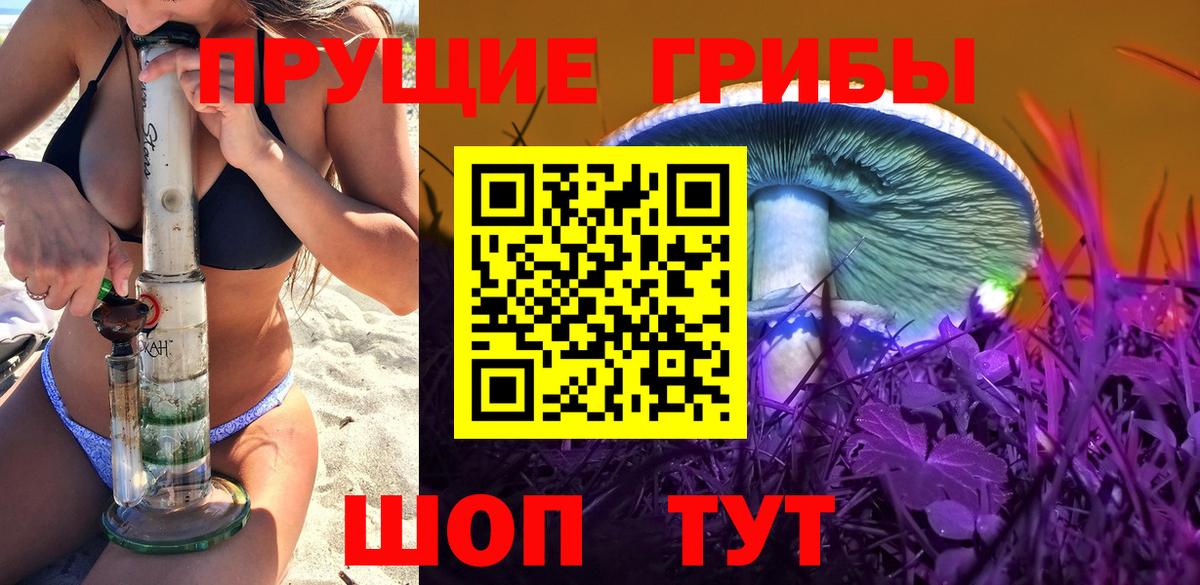 Тосно  Галлюциногенные грибы Psilocybine cubensis  Вход с VPN 