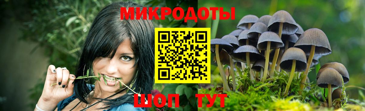 Галлюциногенные грибы прущие грибы Тосно